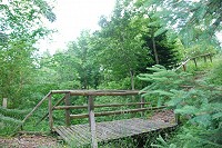 Arboretum de Montaubion-Chardonney